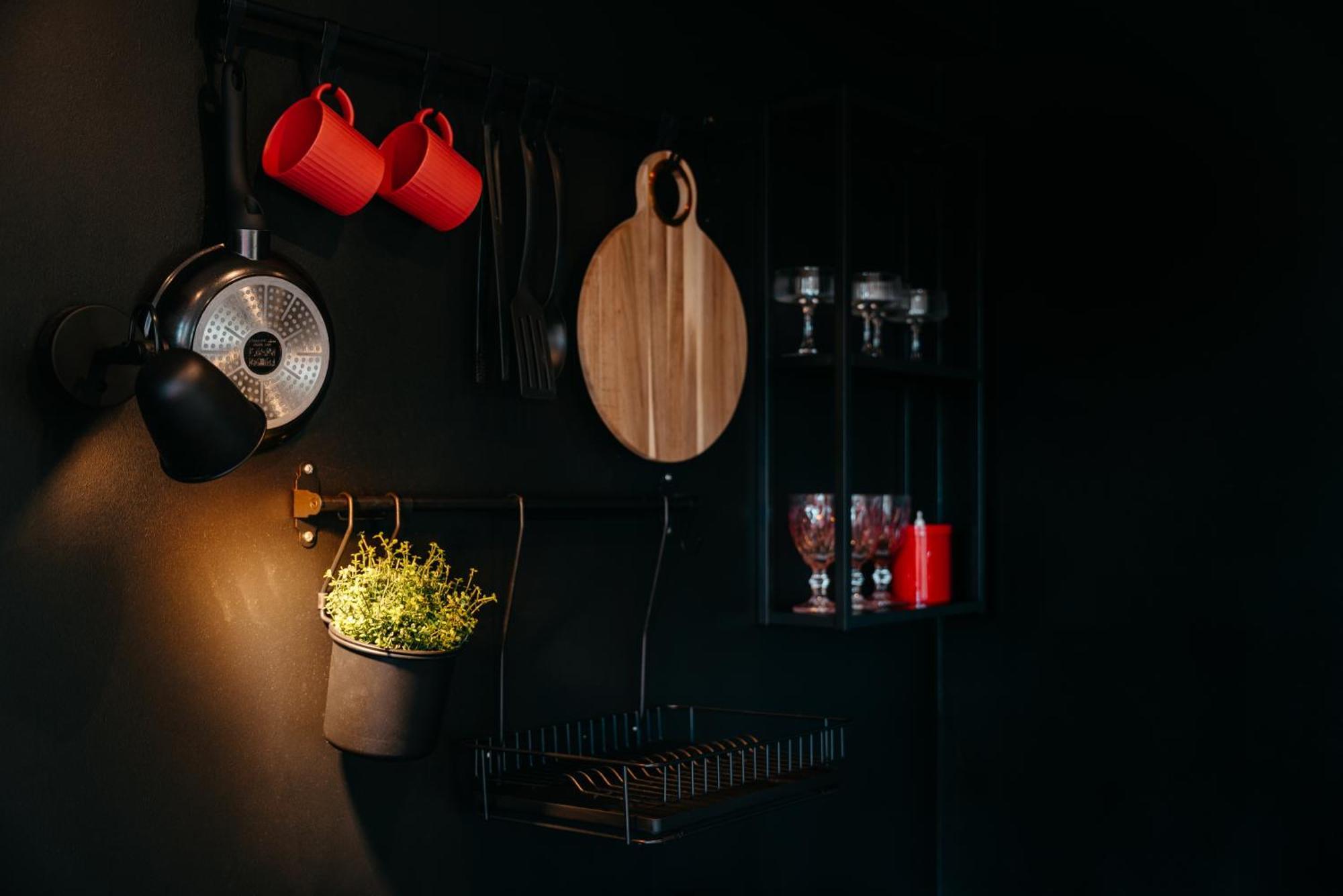 Gryf Apartamenty W Centrum Szczecina By Stayly エクステリア 写真